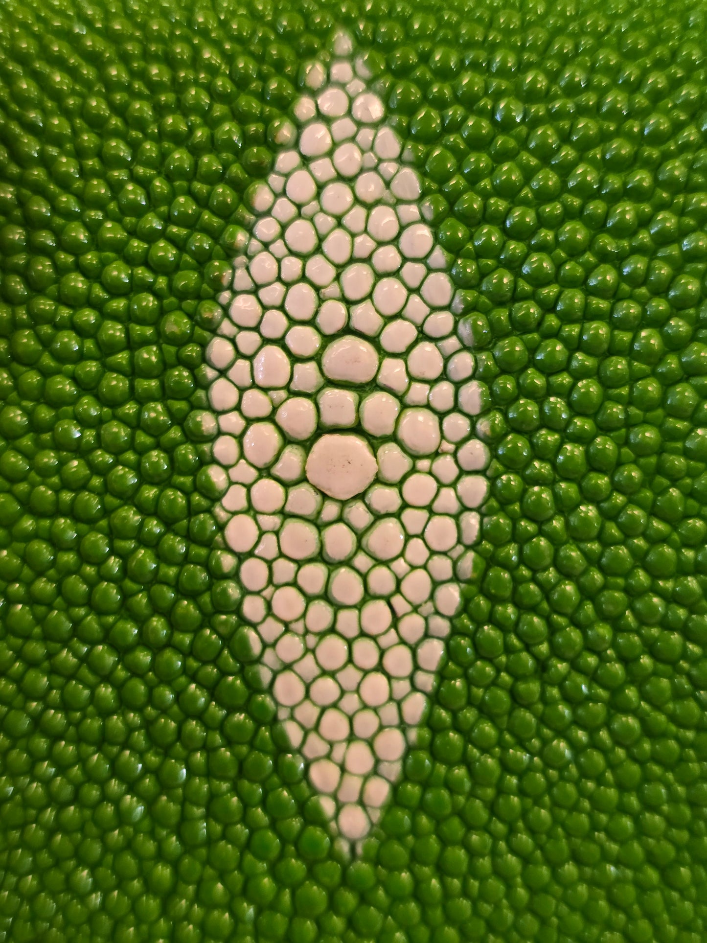 Stingray Bi-fold wallet (The Eye)