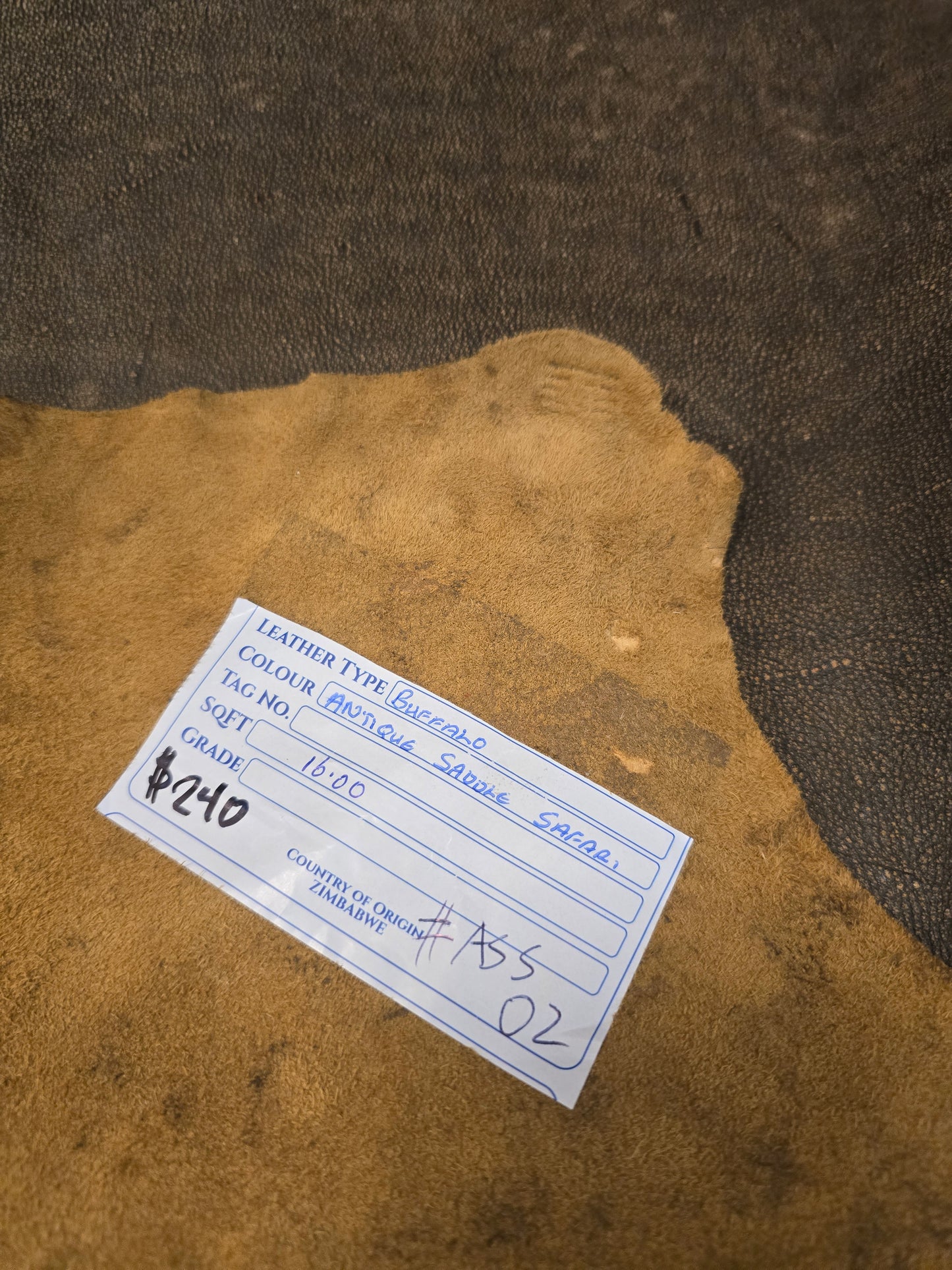 Antique Saddle Safari Cape Buffalo