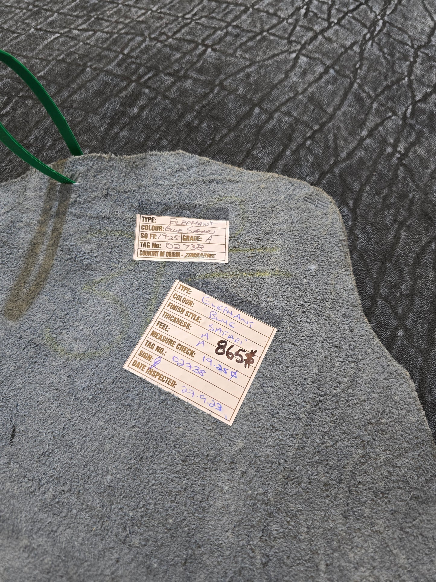 Blue Safari Elephant