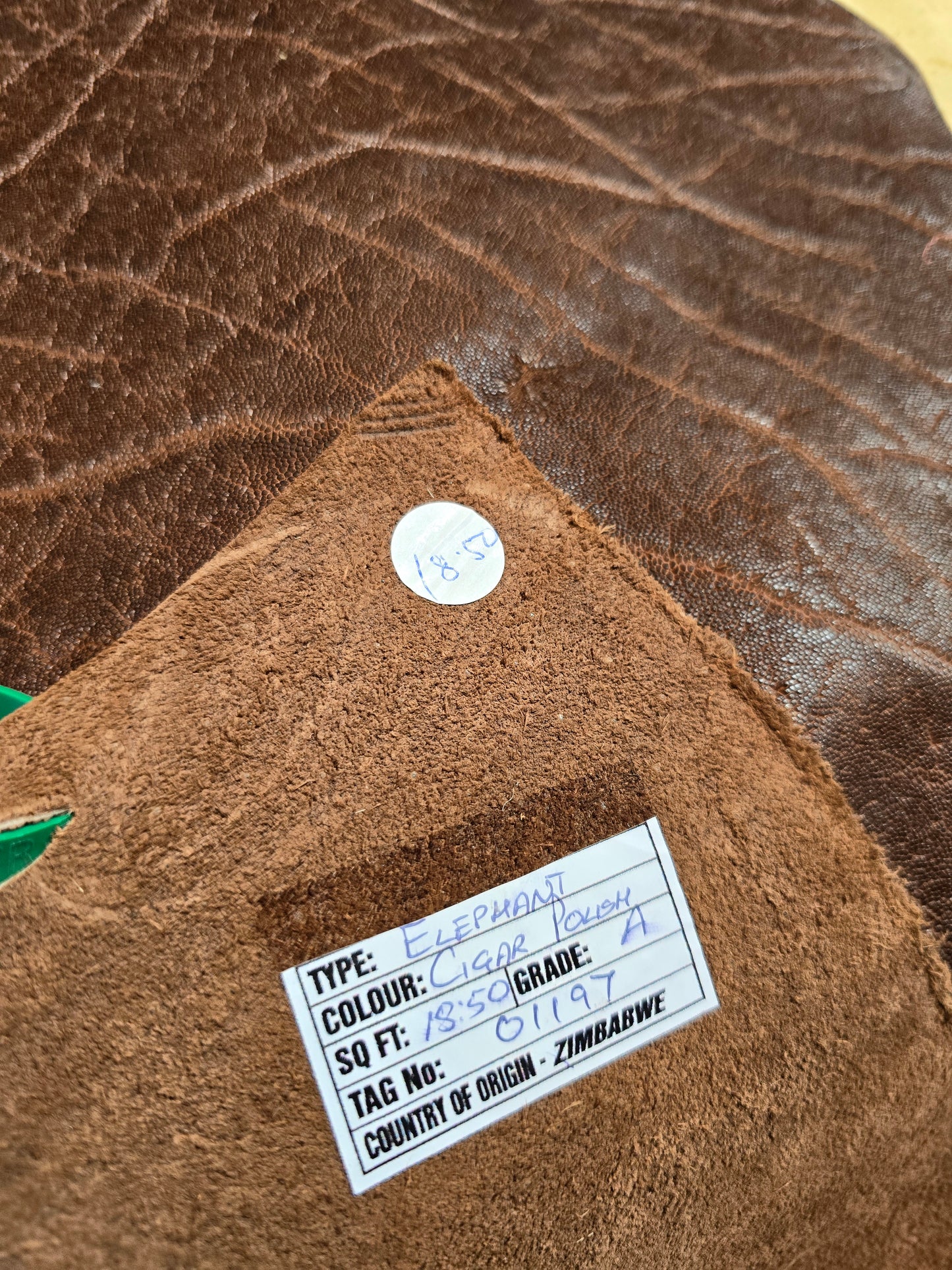 Cigar Polish Elephant