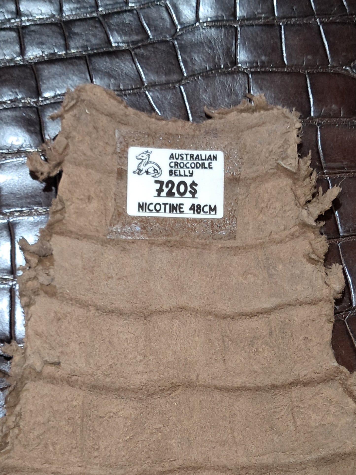 Nicotine Australian Crocodile Belly