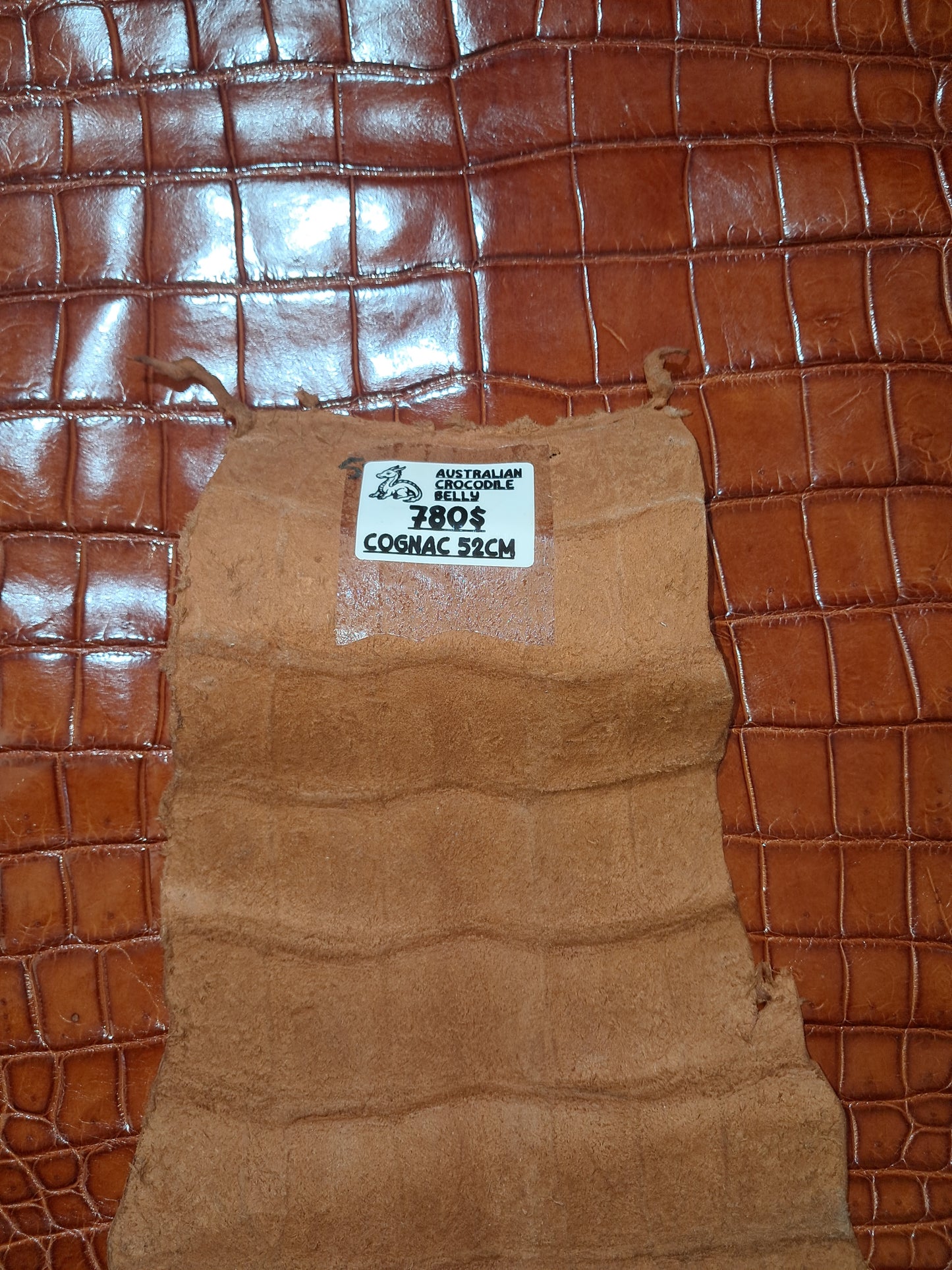 Cognac Australian Crocodile Belly