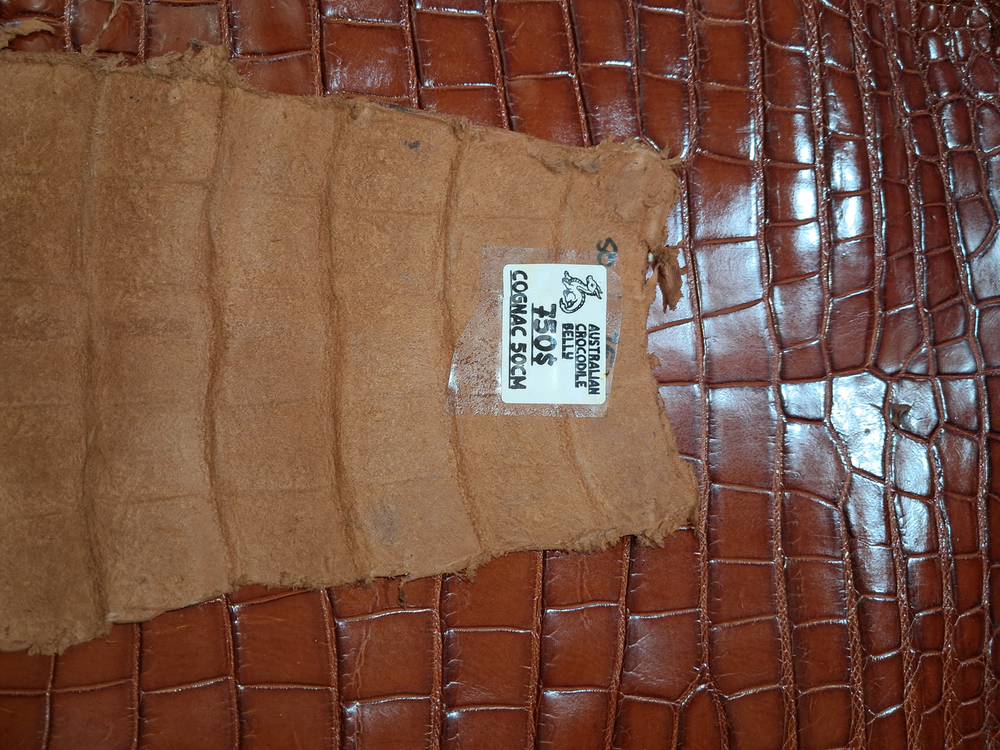 Cognac Australian Crocodile Belly