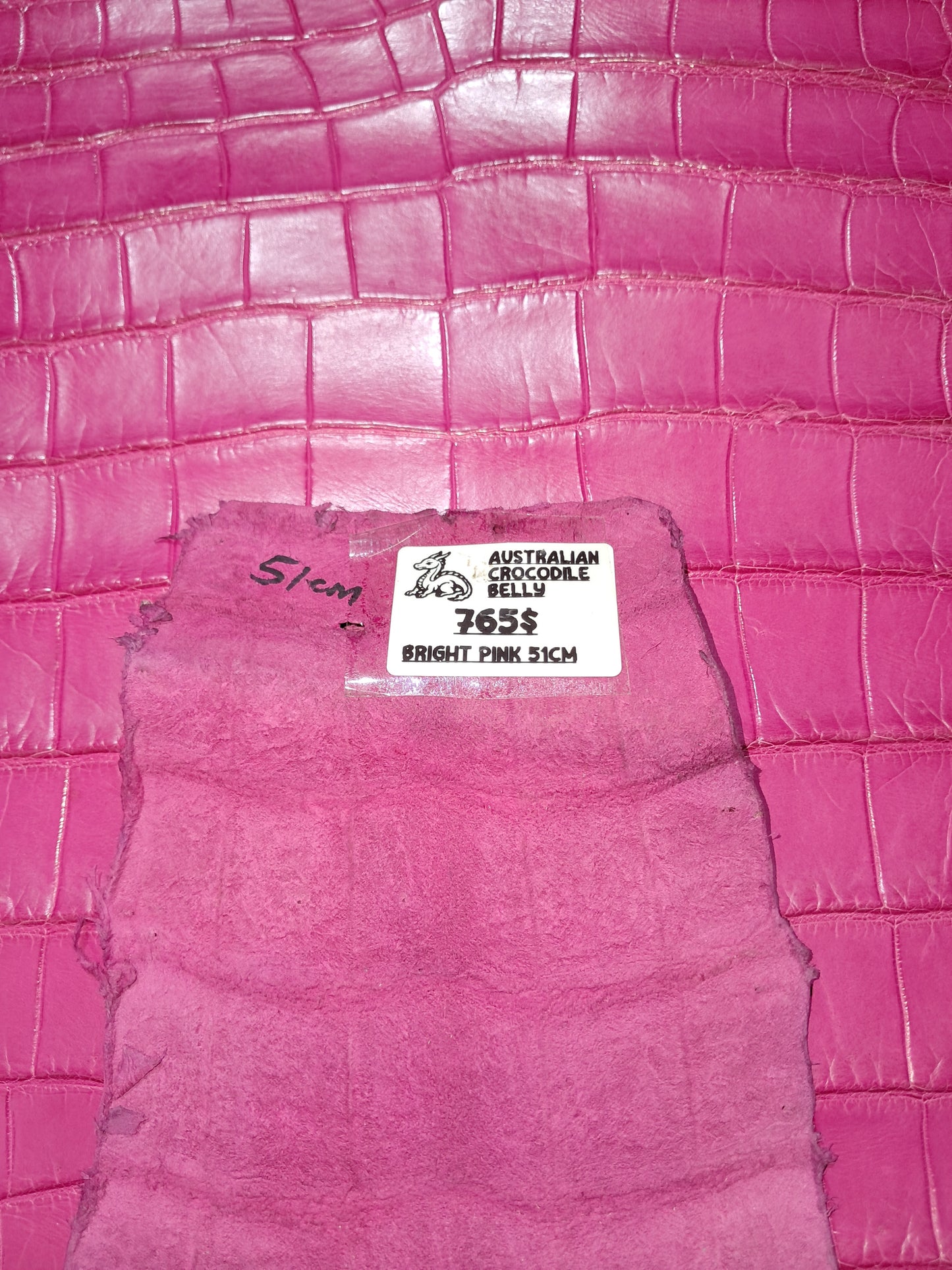 Bright Pink Australian Crocodile Belly