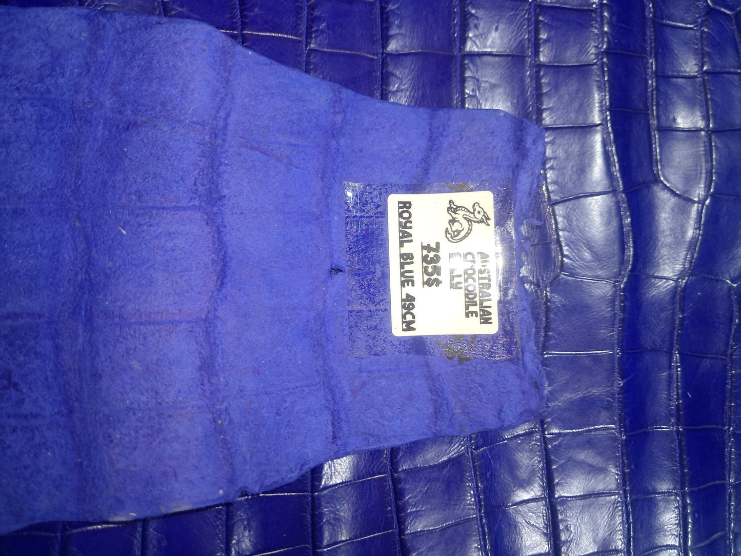Royal Blue Australian Crocodile Belly