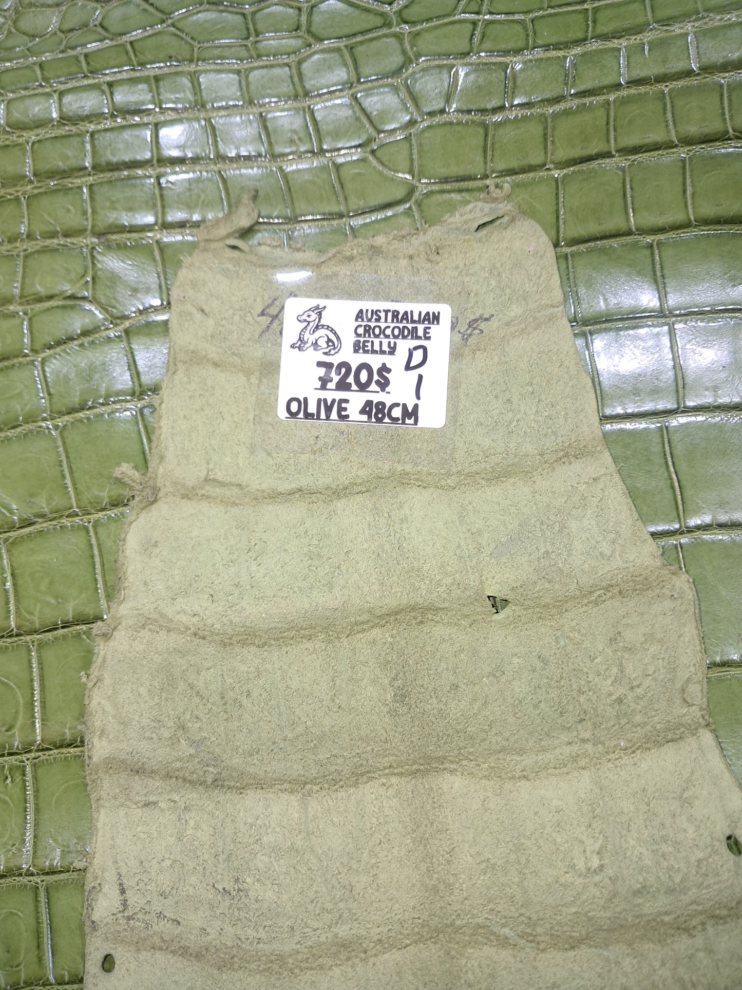 Dark Olive Australian Crocodile Belly