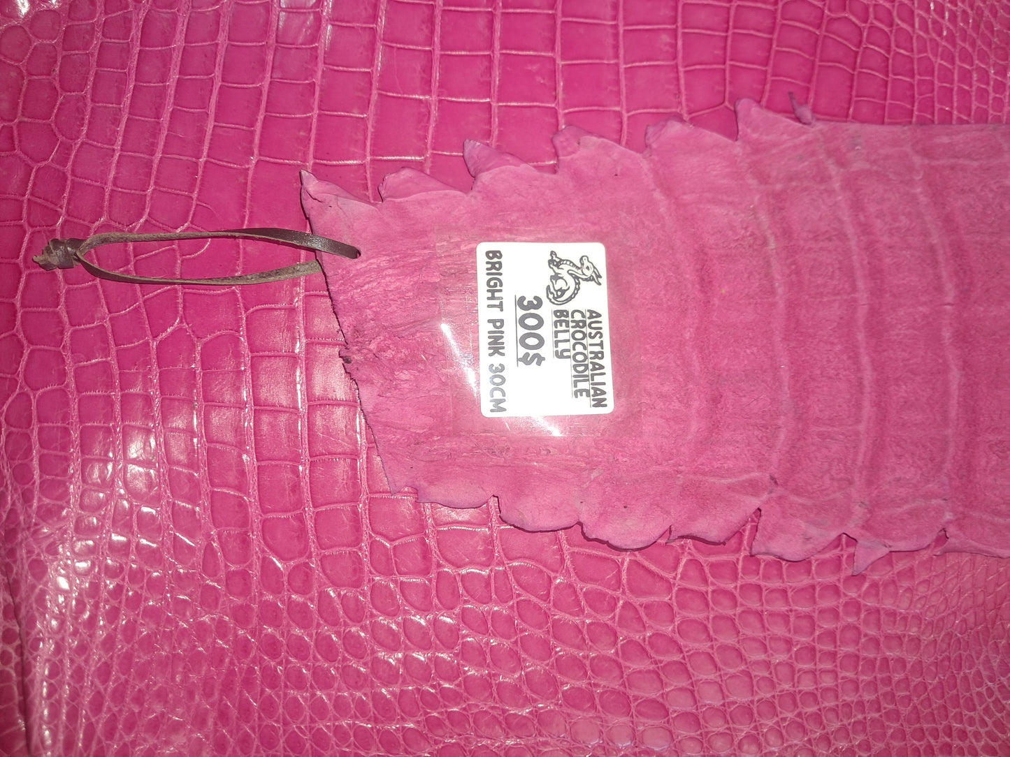 Bright Pink Australian Crocodile Belly