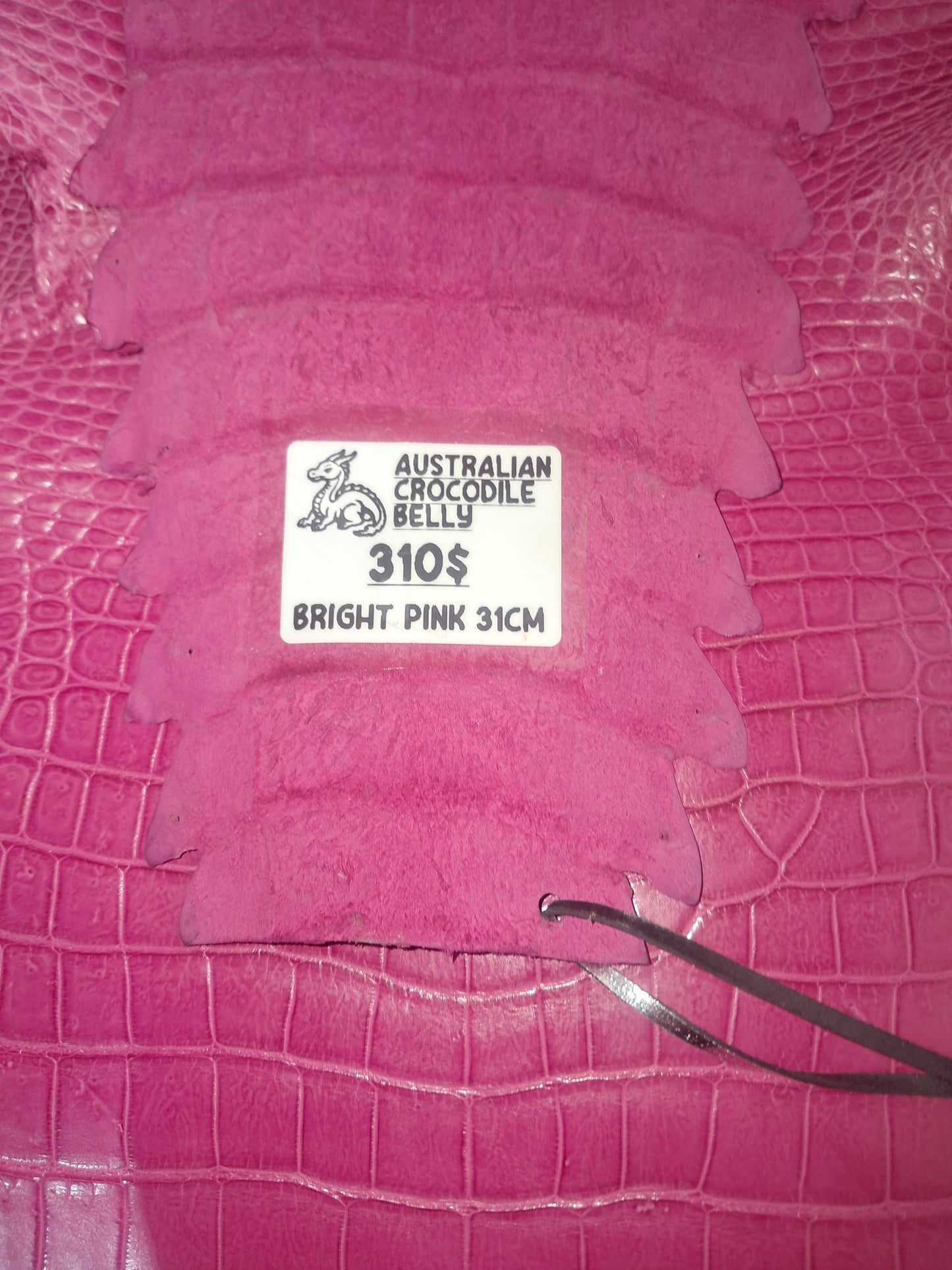 Bright Pink Australian Crocodile Belly