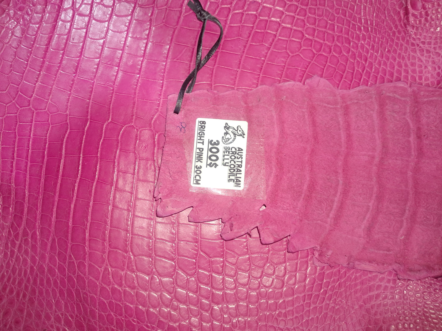 Bright Pink Australian Crocodile Belly
