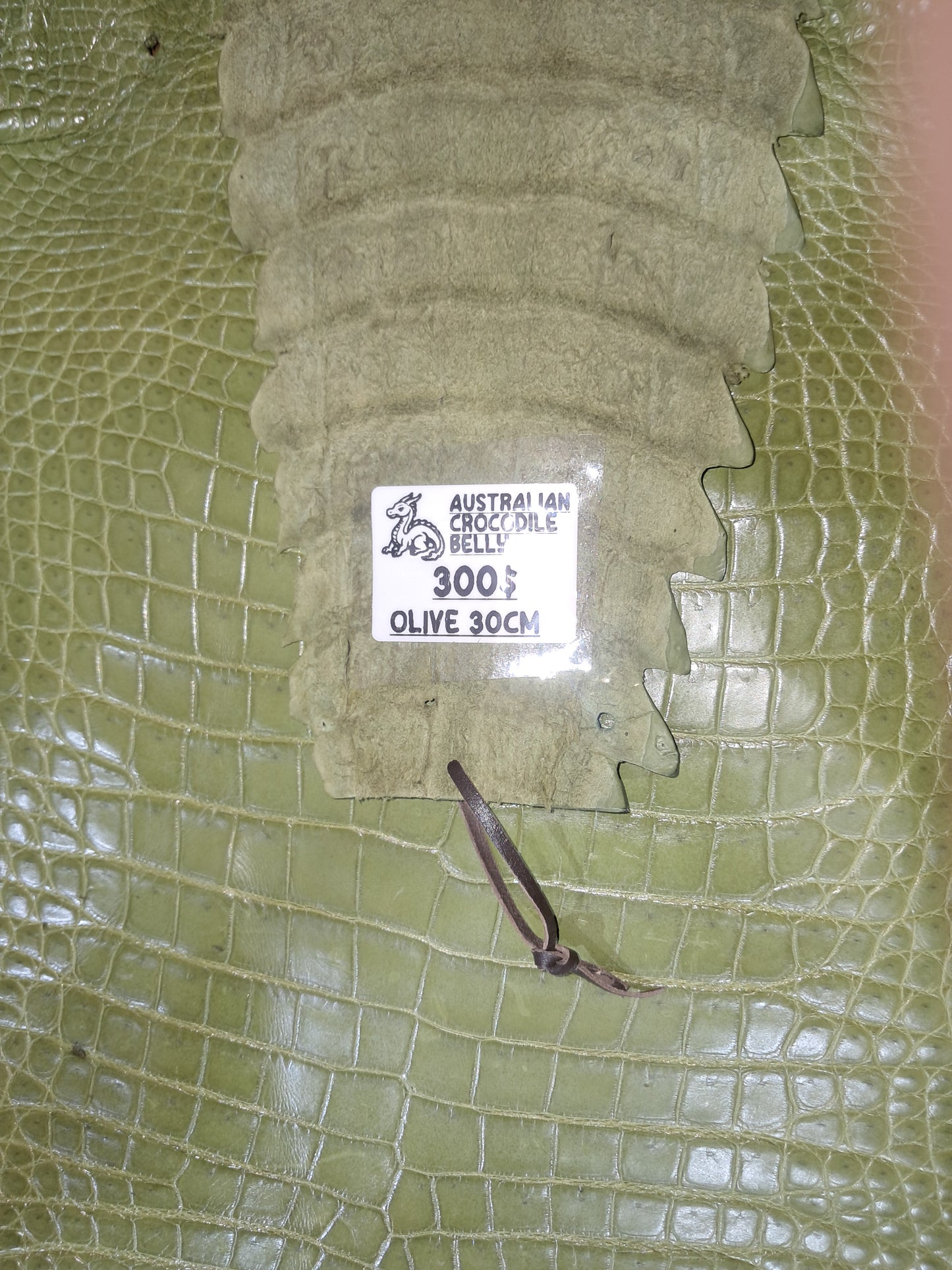 Olive Australian Crocodile Belly