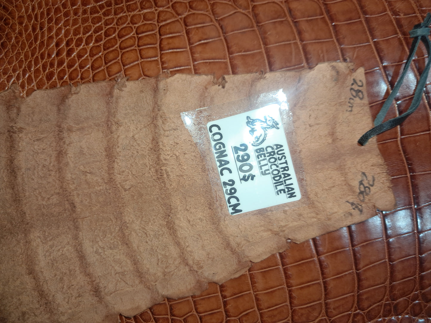 Cognac Australian Crocodile Belly