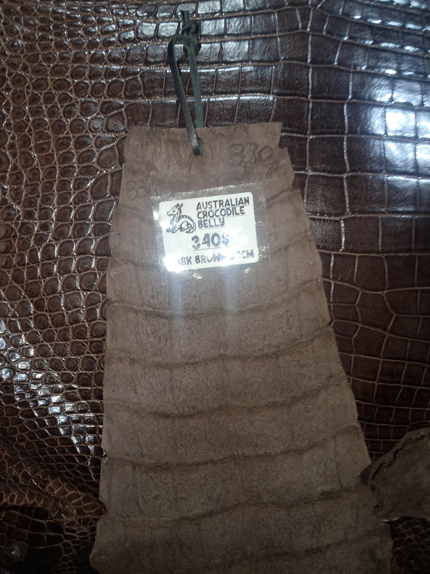 Dark Brown Australian Crocodile Belly