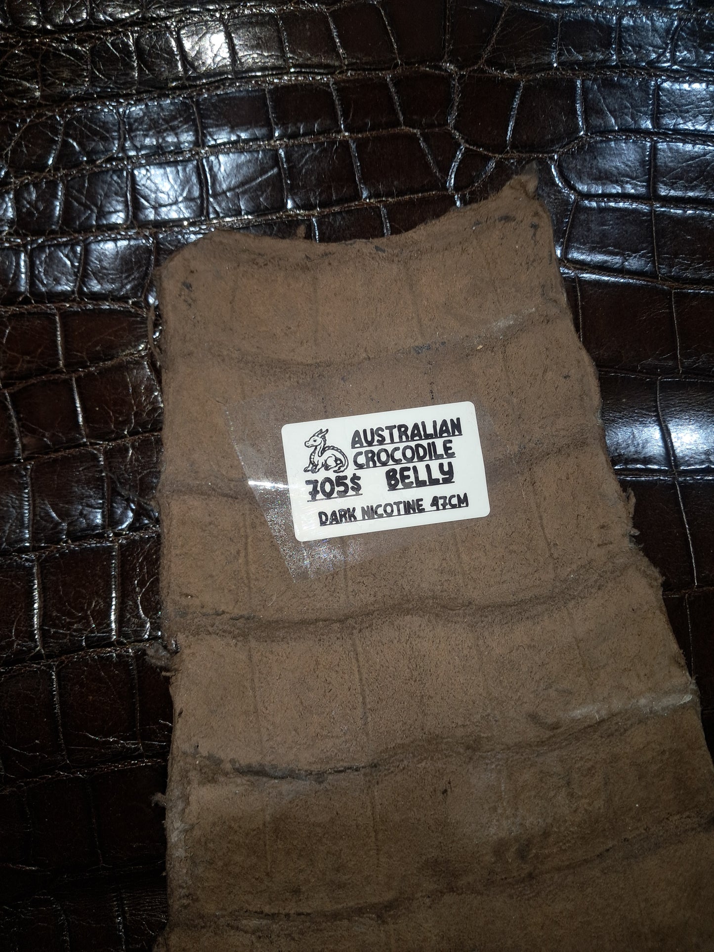 Dark Nicotine Australian Crocodile Belly