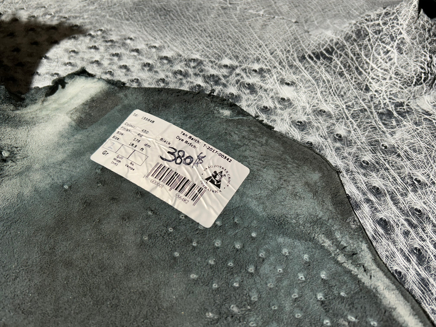 Rio Grande Black Ostrich