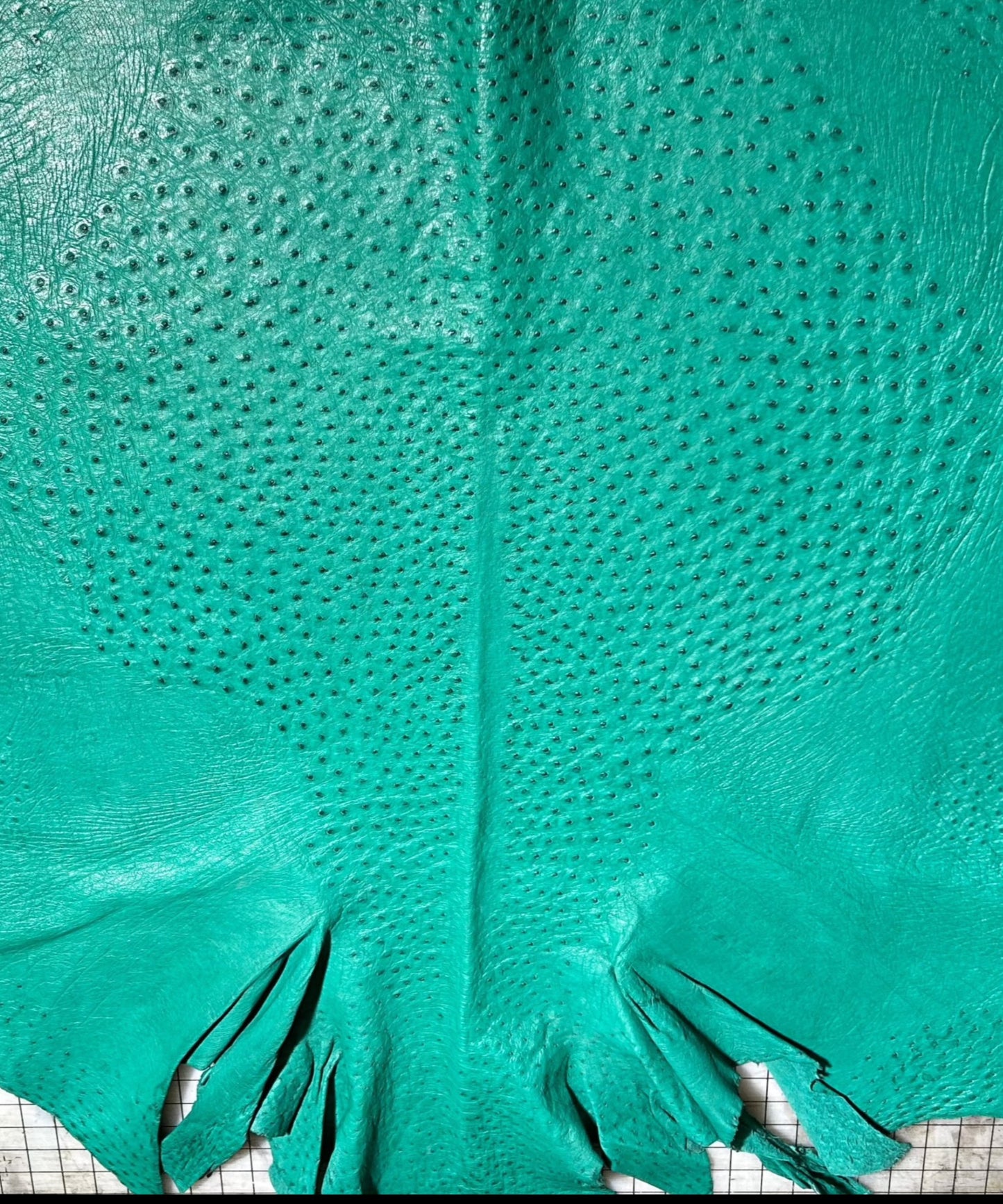 Brilliant Green Ostrich