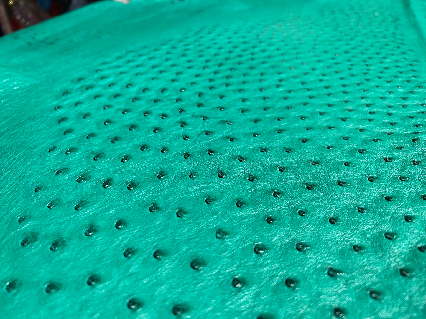 Brilliant Green Ostrich