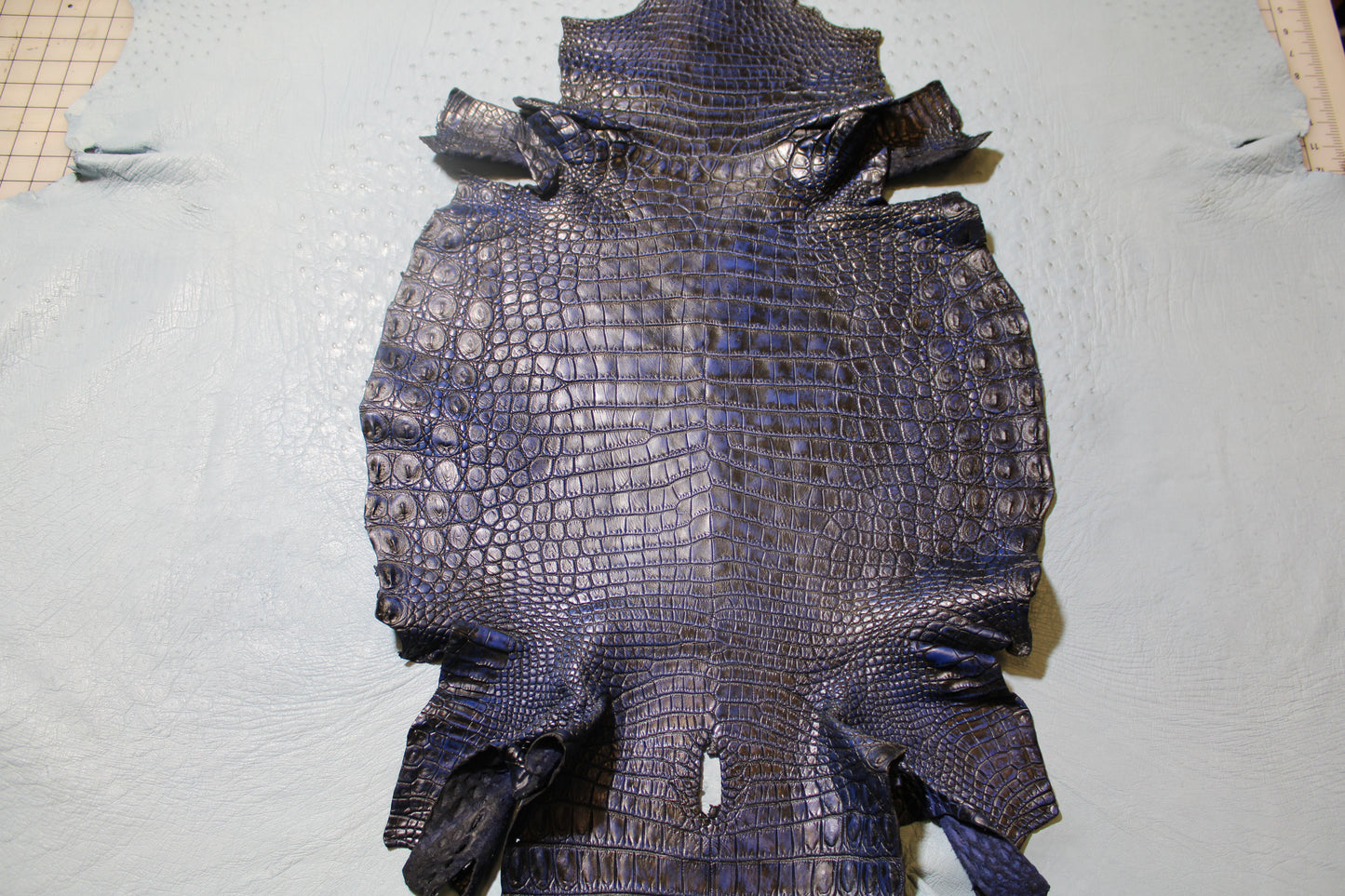 Blue Vintage Crocodlile Belly