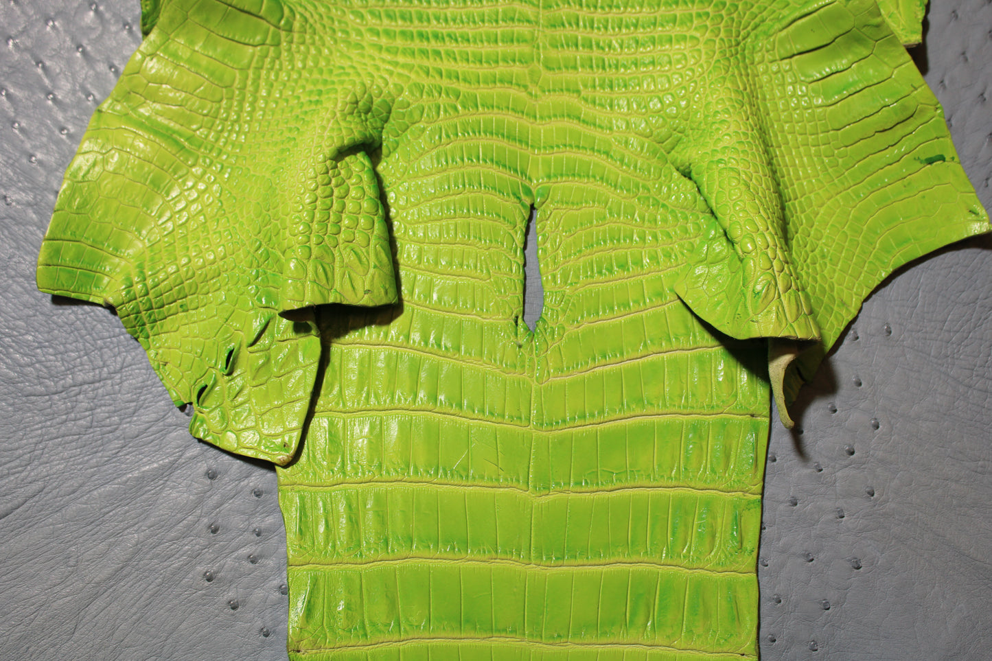 Lime Green On White CROCO Belly