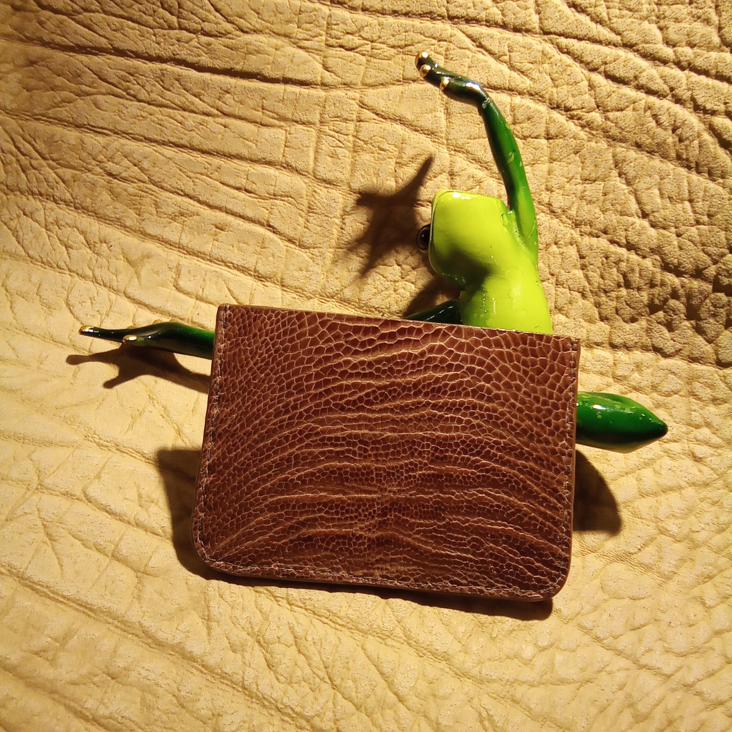 Snake and lizard cardholder