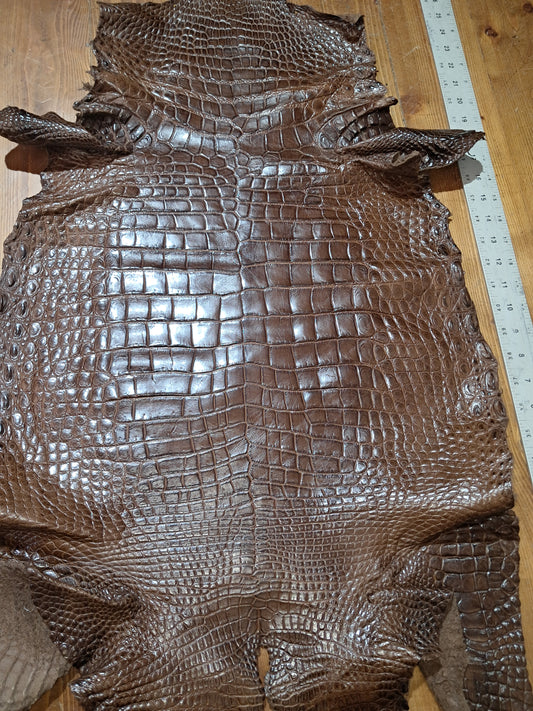 Dark Brown Australian Crocodile Belly