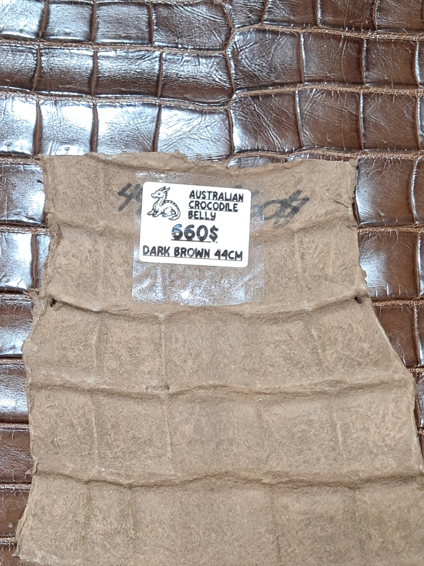 Dark Brown Australian Crocodile Belly