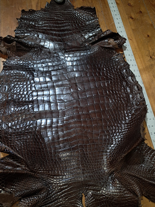 Nicotine Australian Crocodile Belly