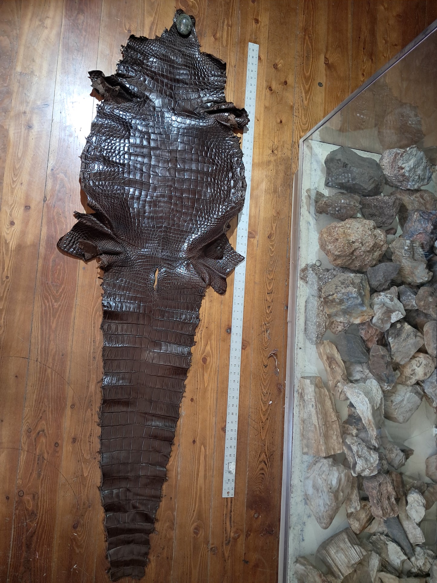 Nicotine Australian Crocodile Belly