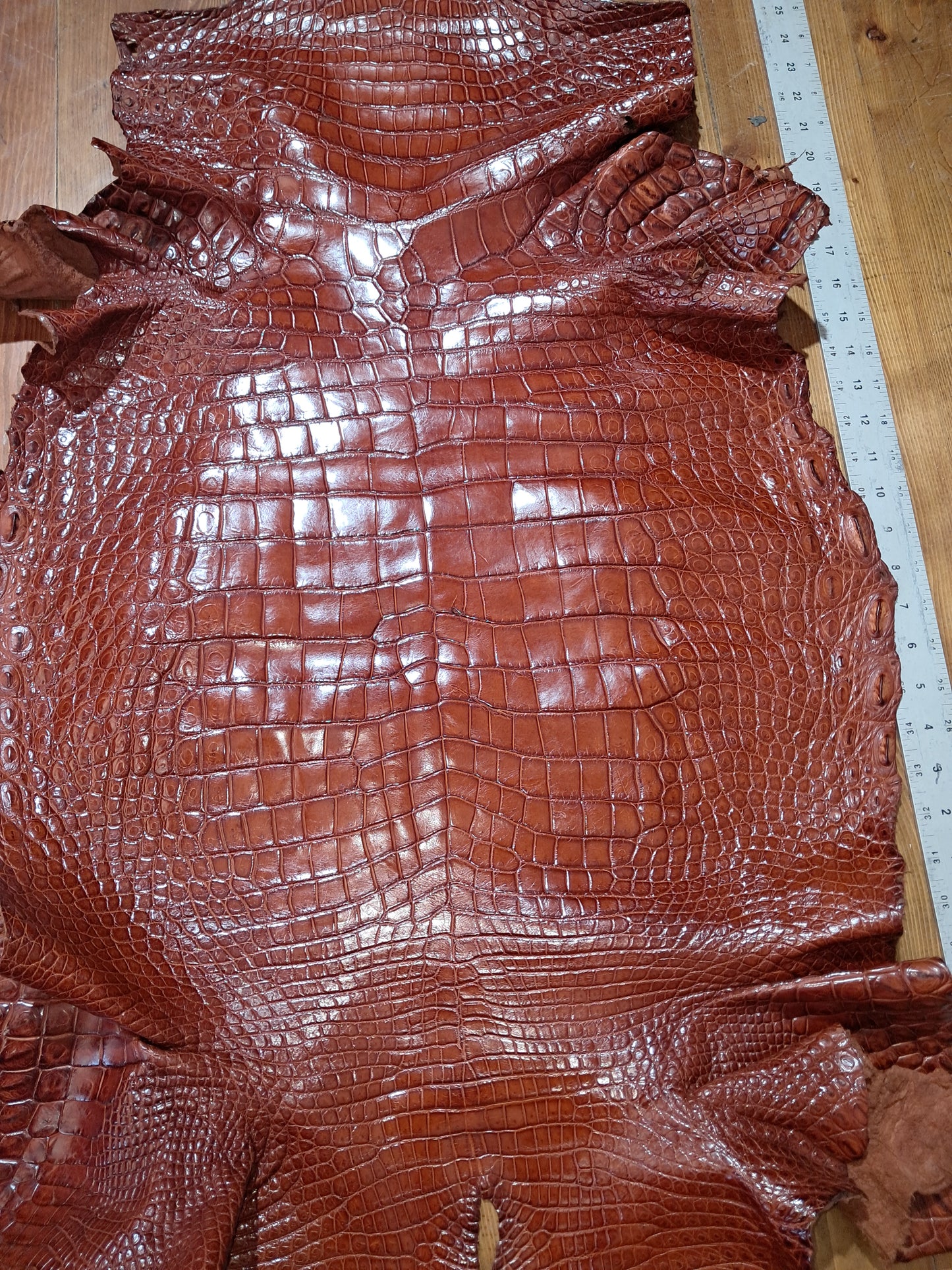 Cognac Australian Crocodile Belly