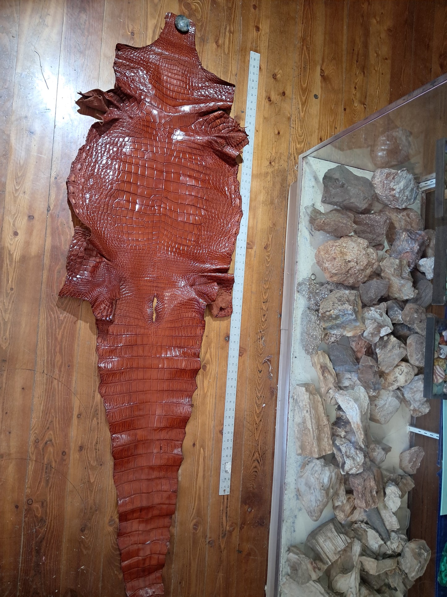 Cognac Australian Crocodile Belly