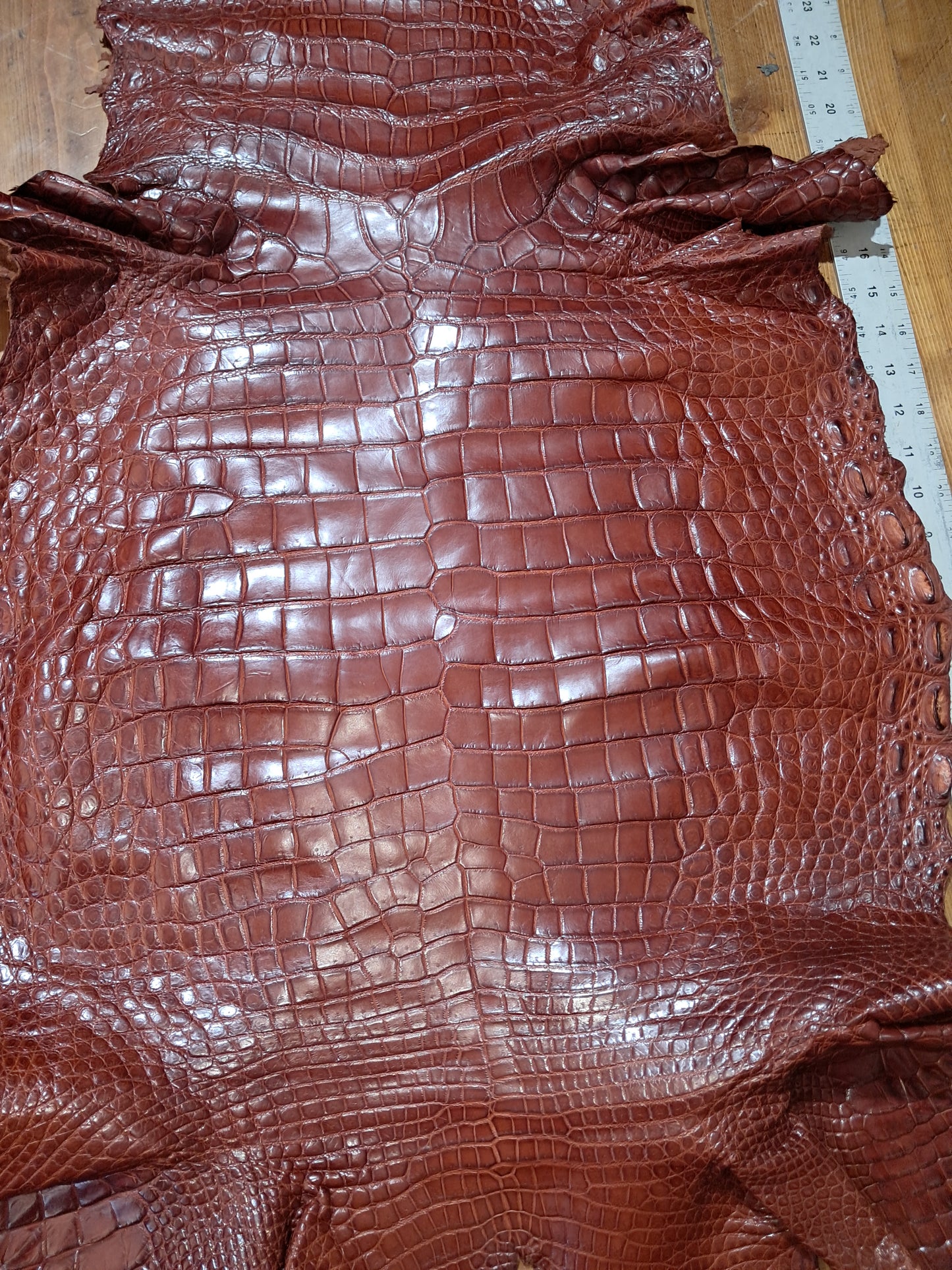 Cognac Australian Crocodile Belly