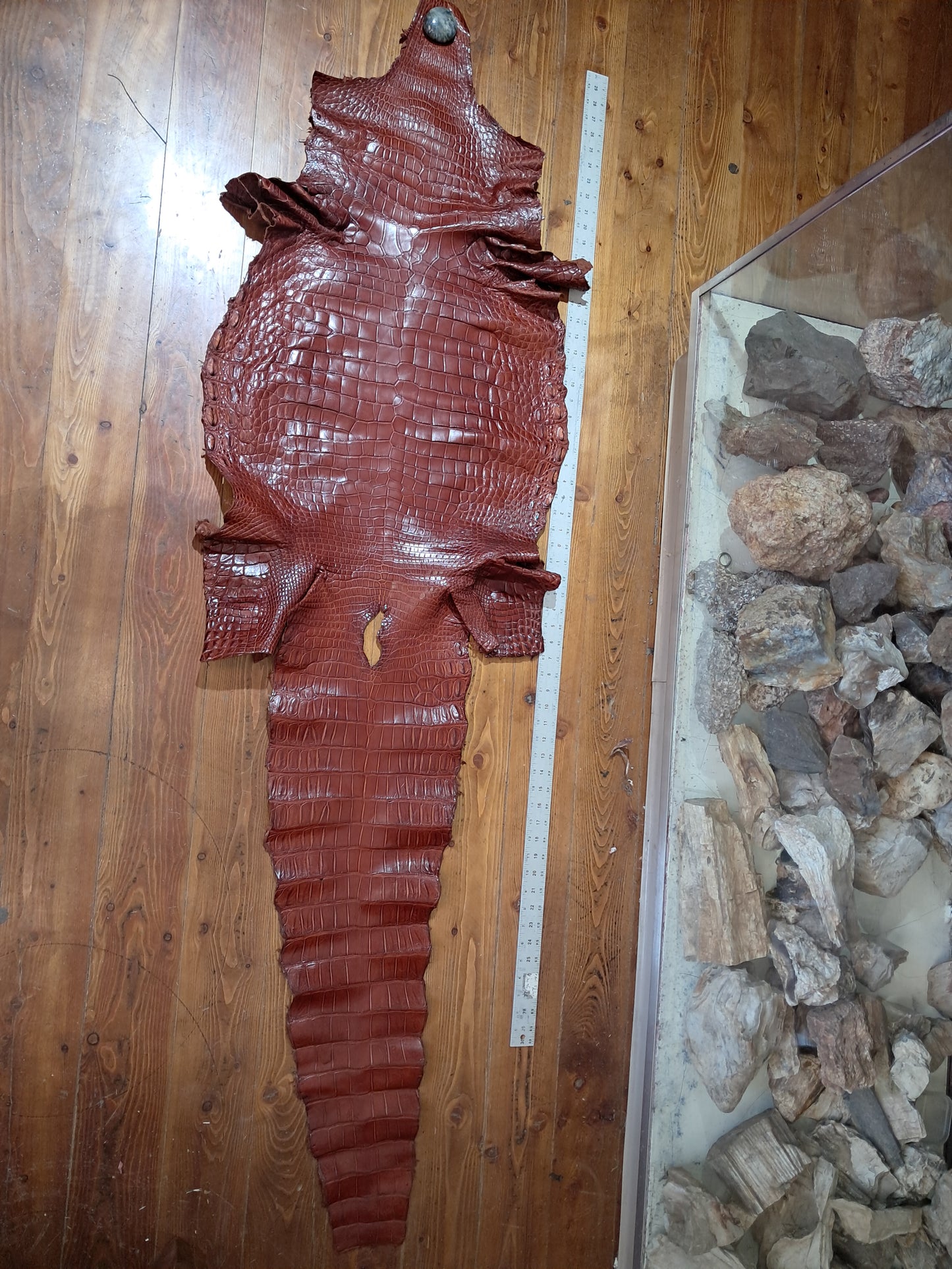 Cognac Australian Crocodile Belly