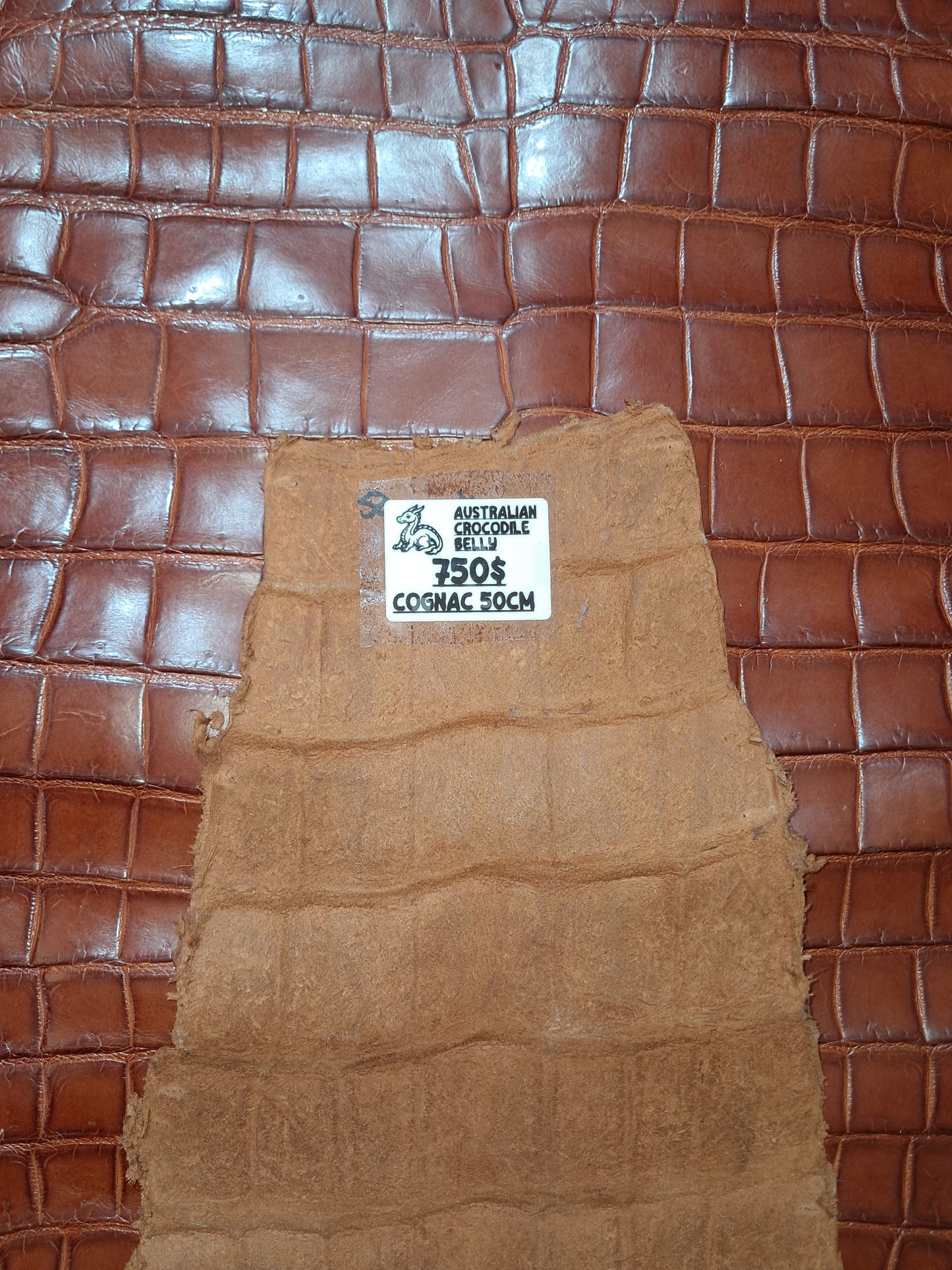 Cognac Australian Crocodile Belly