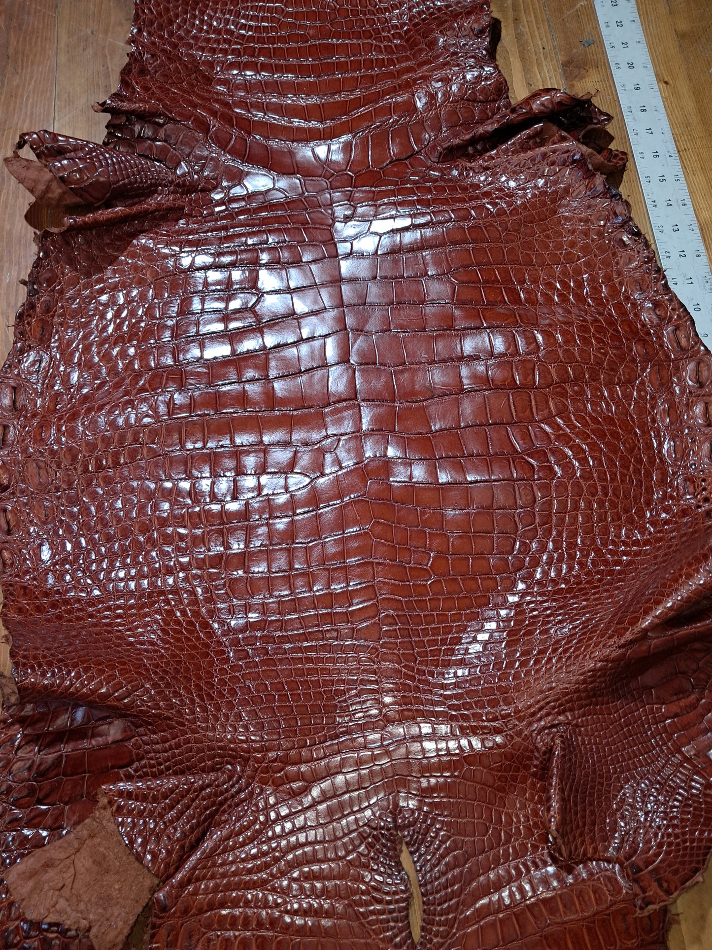 Cognac Australian Crocodile Belly