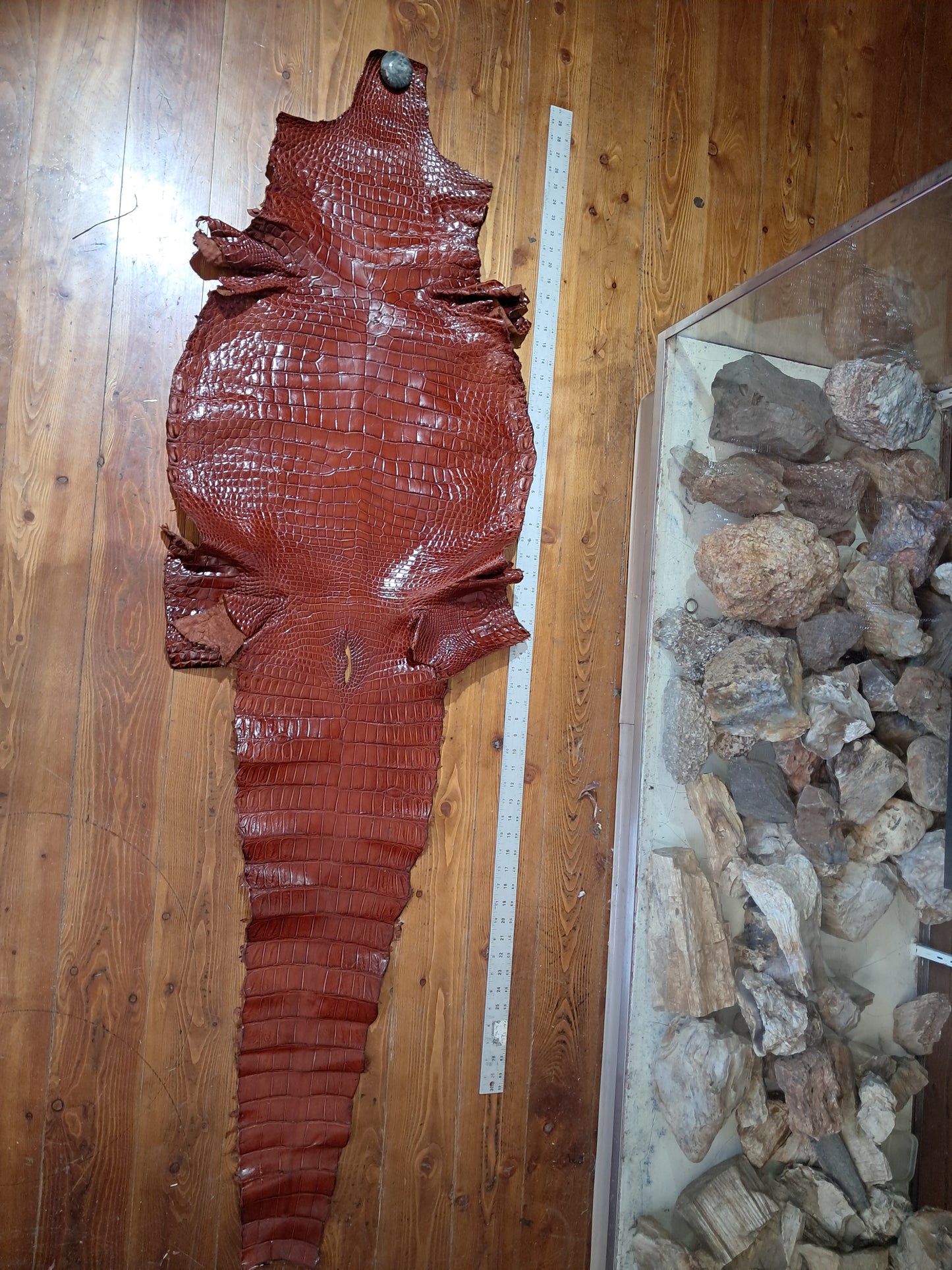 Cognac Australian Crocodile Belly