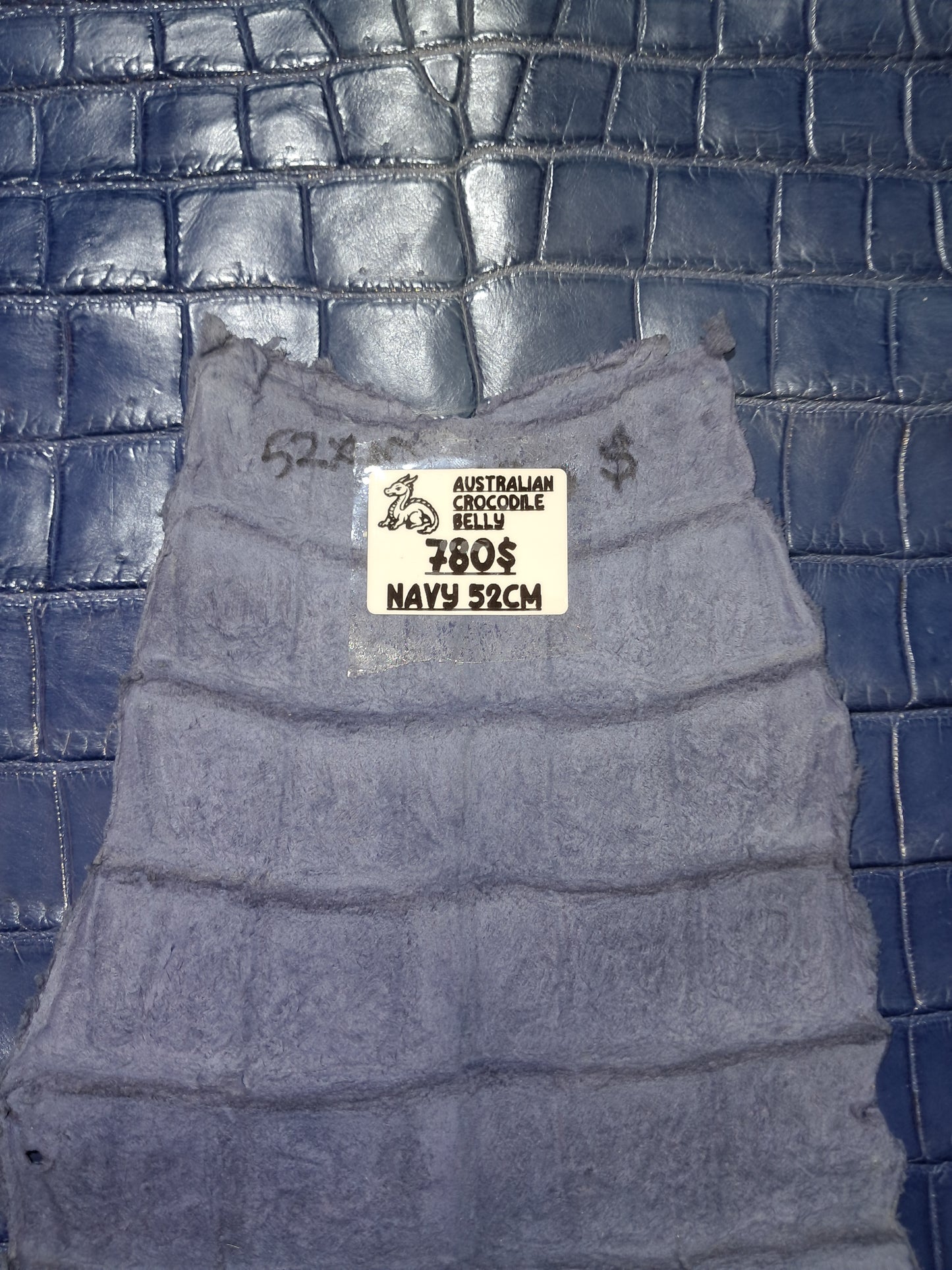 Navy Australian Crocodile Belly