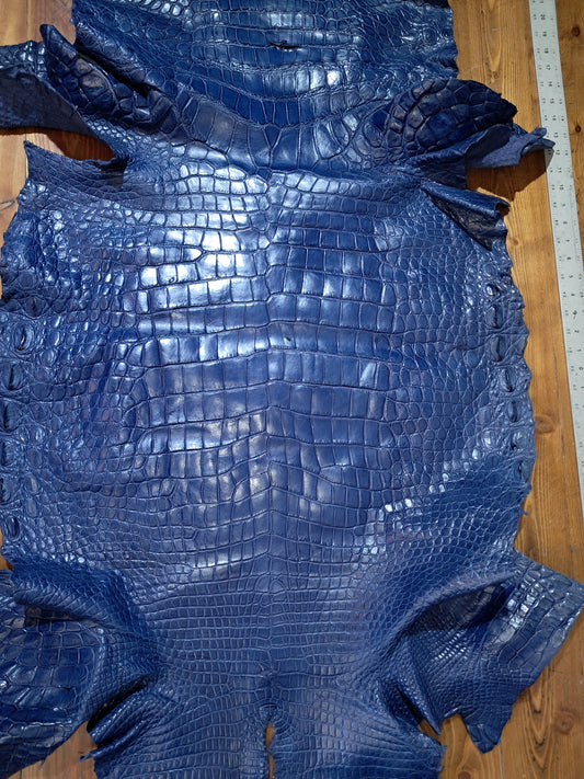 Navy Australian Crocodile Belly