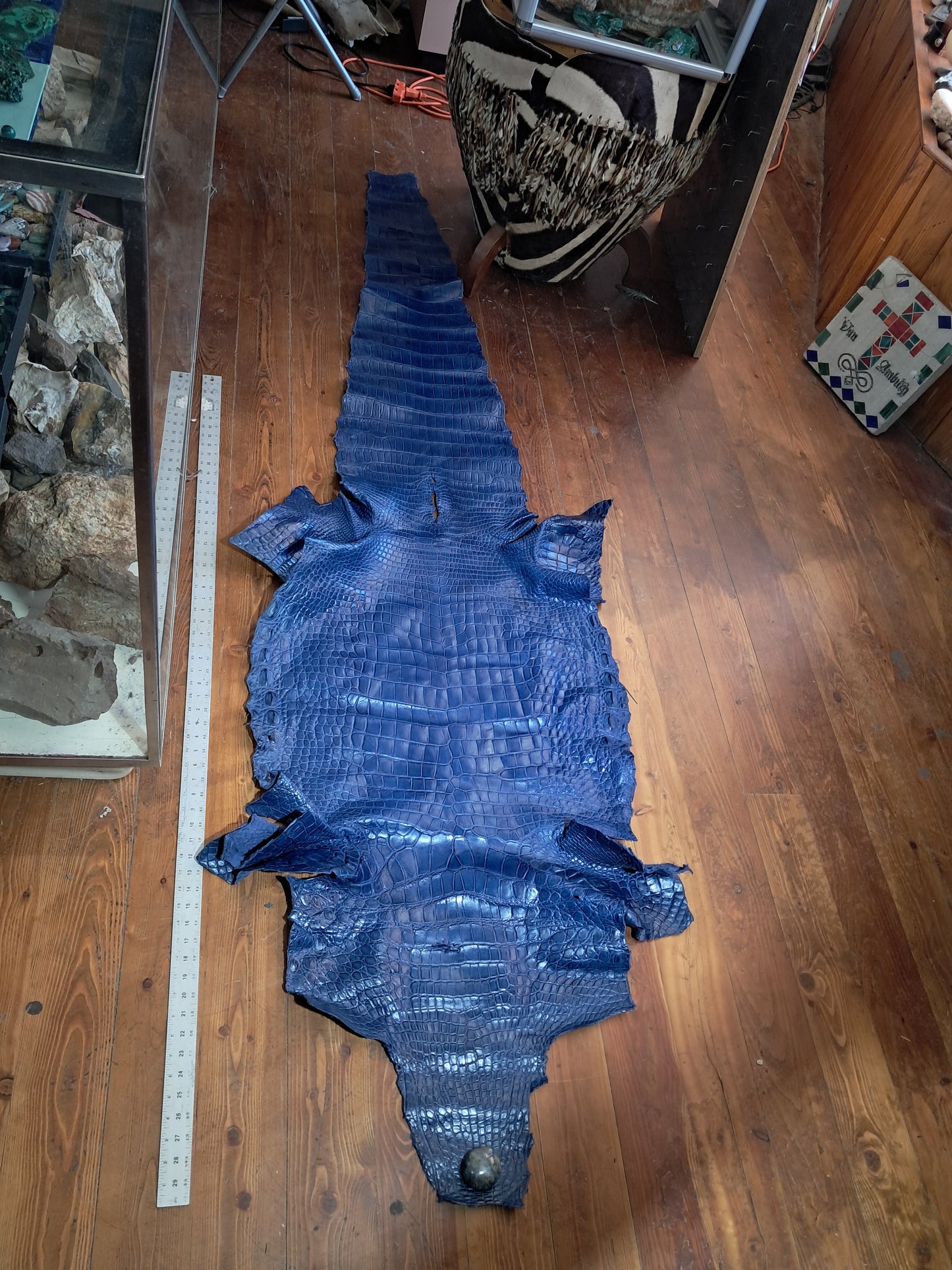 Navy Australian Crocodile Belly