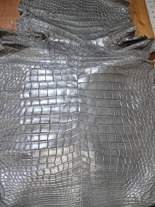 Light Grey Australian Crocodile Belly