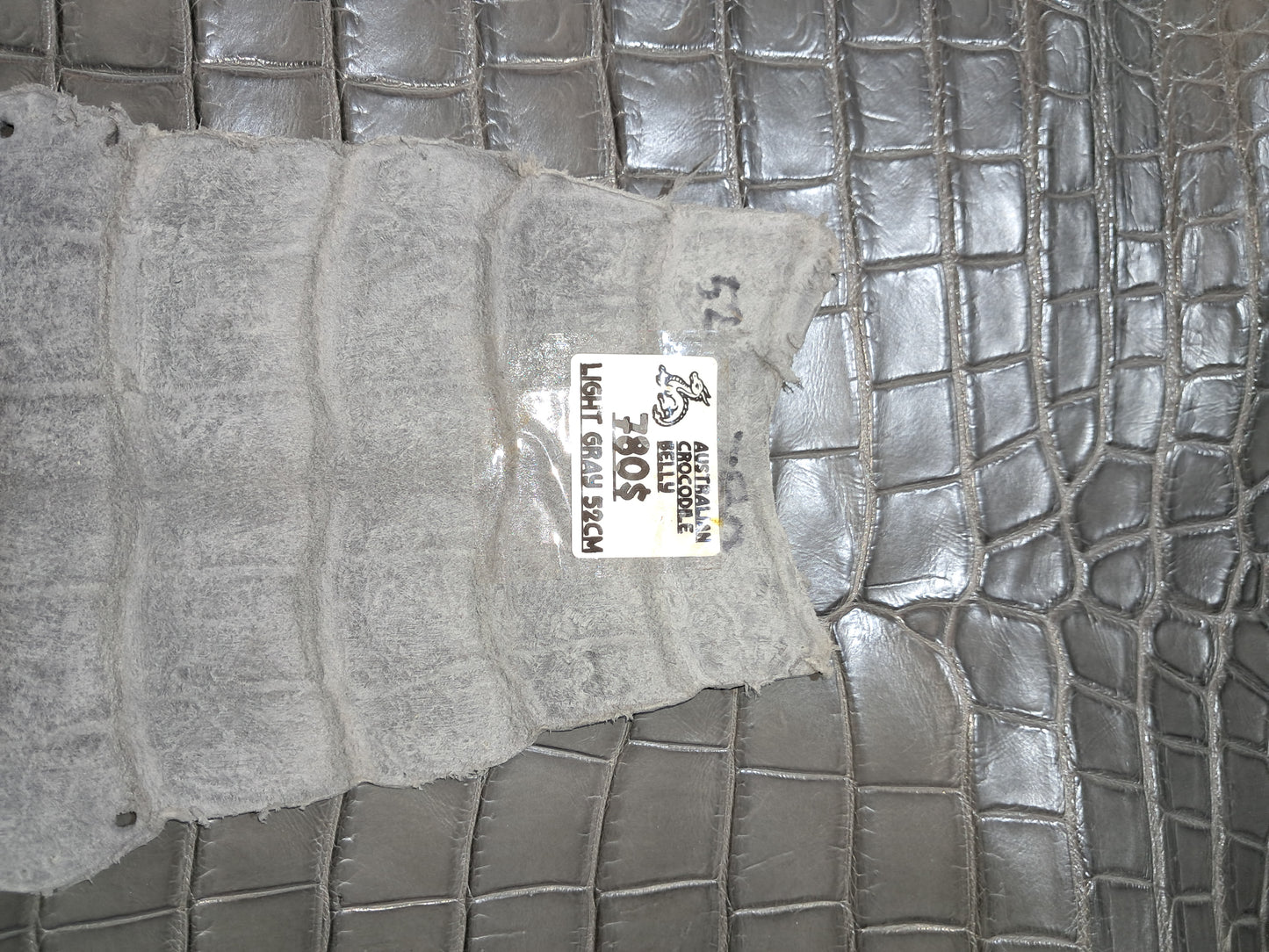 Light Grey Australian Crocodile Belly