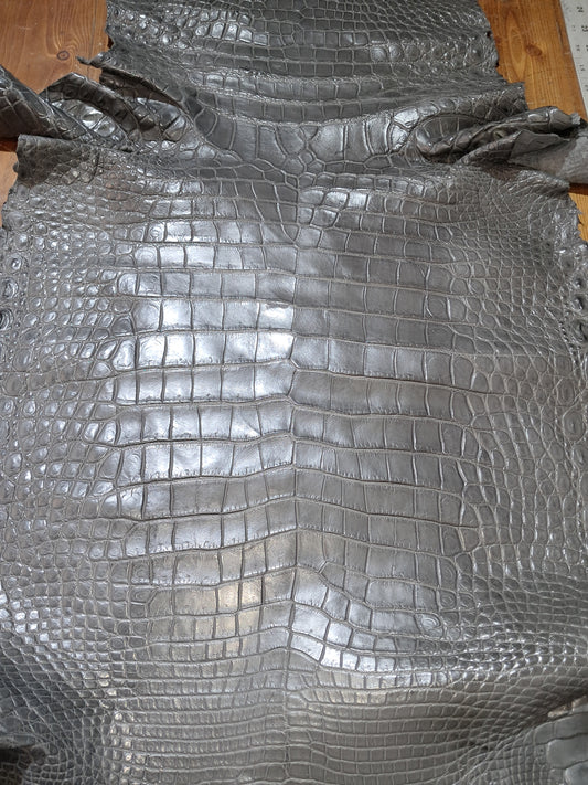 Light Grey Crocodile Belly