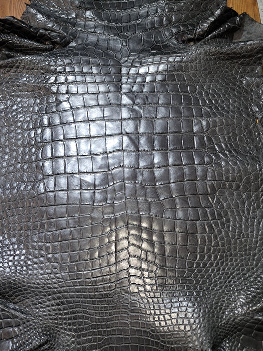 Dark Grey Australian Crocodile Belly