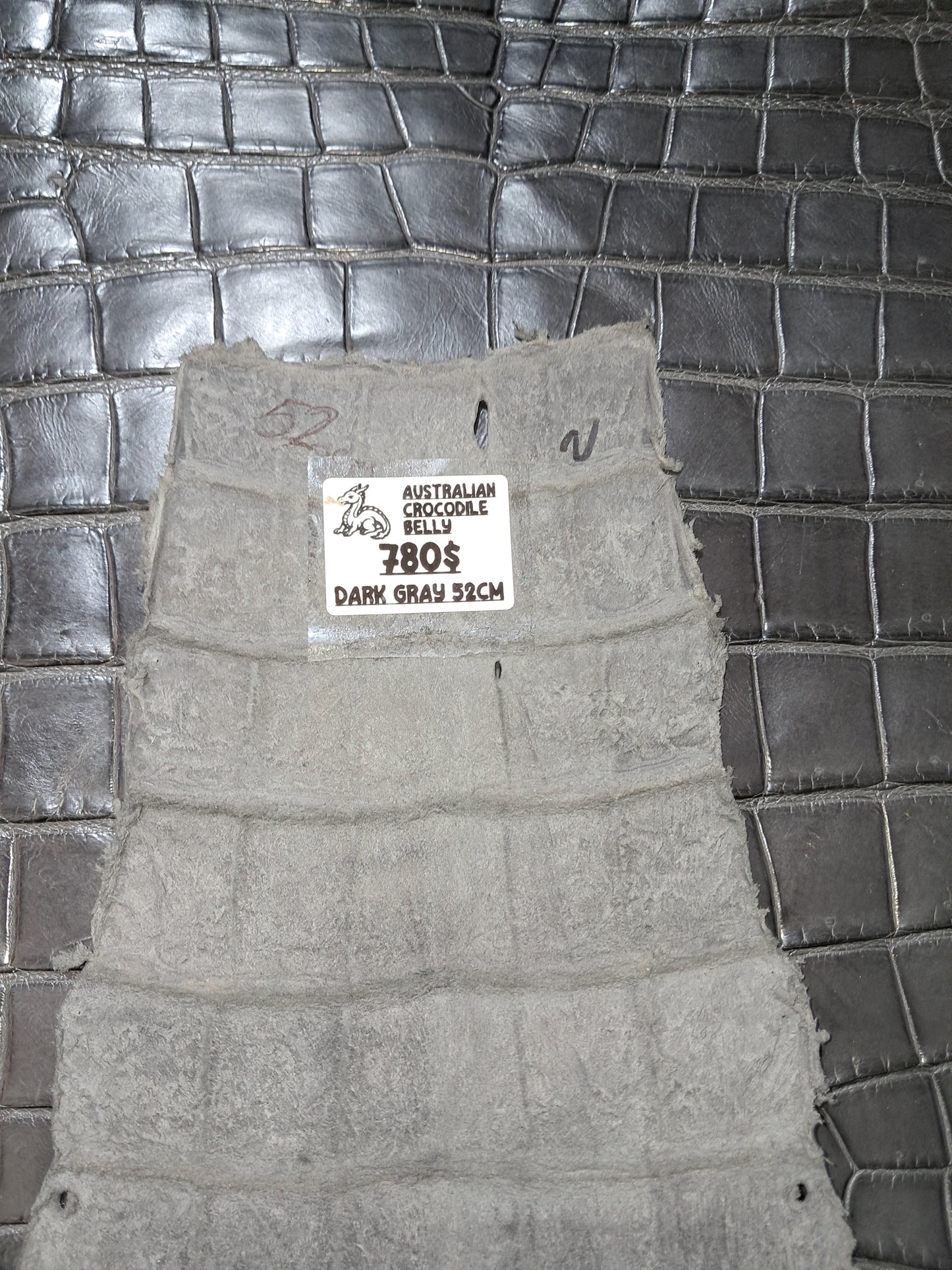 Dark Grey Australian Crocodile Belly
