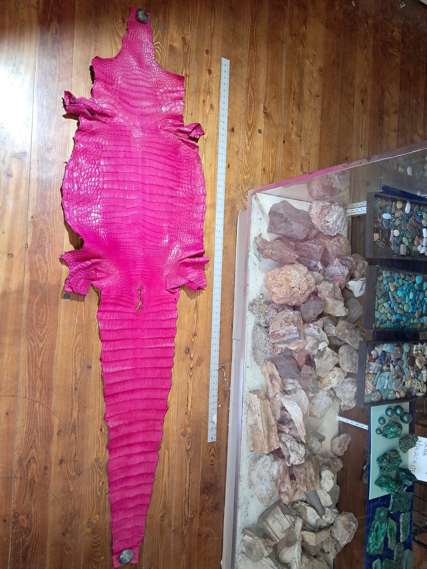 Bright Pink Australian Crocodile Belly