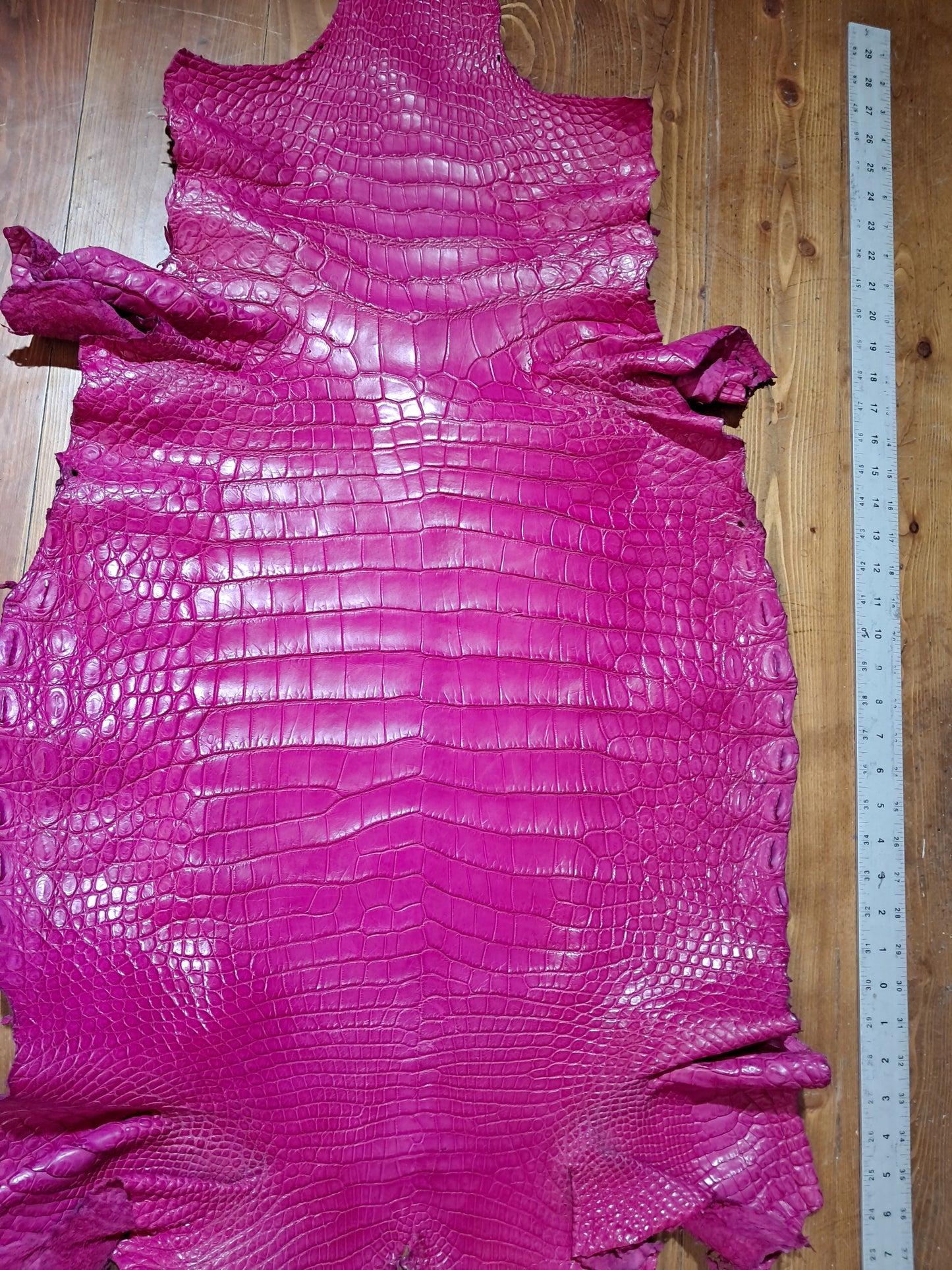 Bright Pink Australian Crocodile Belly