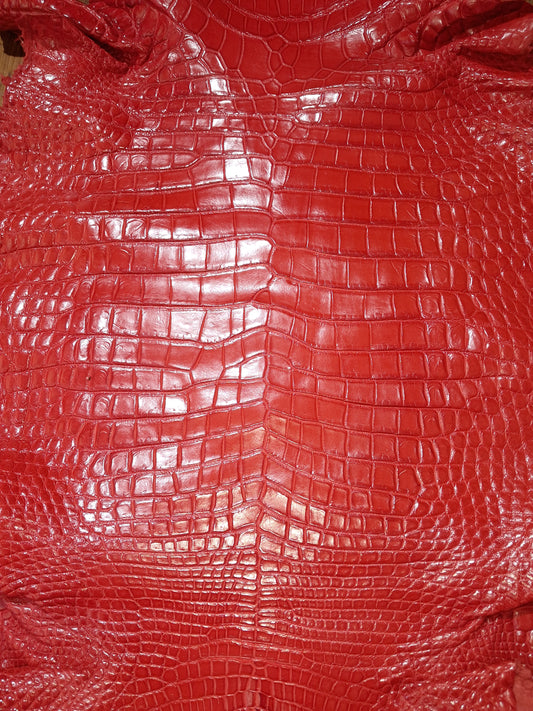 Perfect Red Australian Crocodile Belly