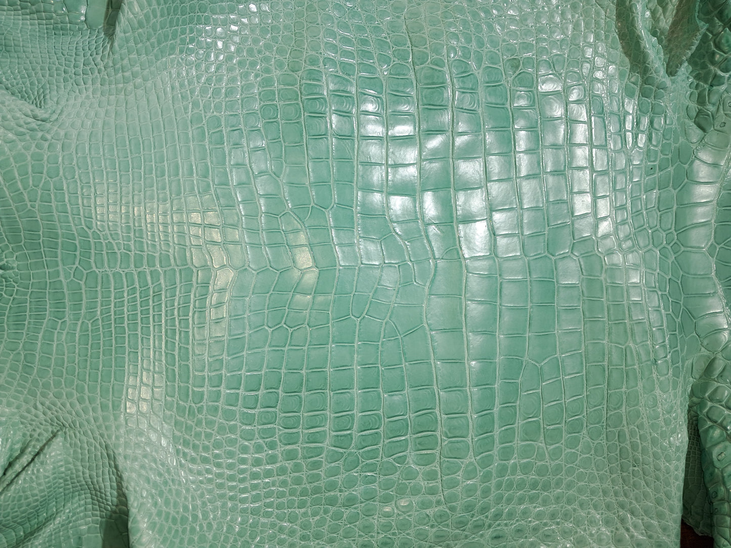 Tiffany Blue Australian Crocodile Belly