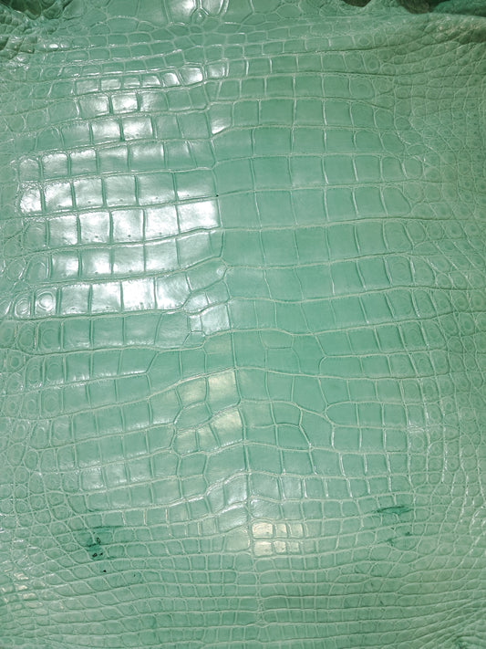 Tiffany Blue Australian Crocodile Belly