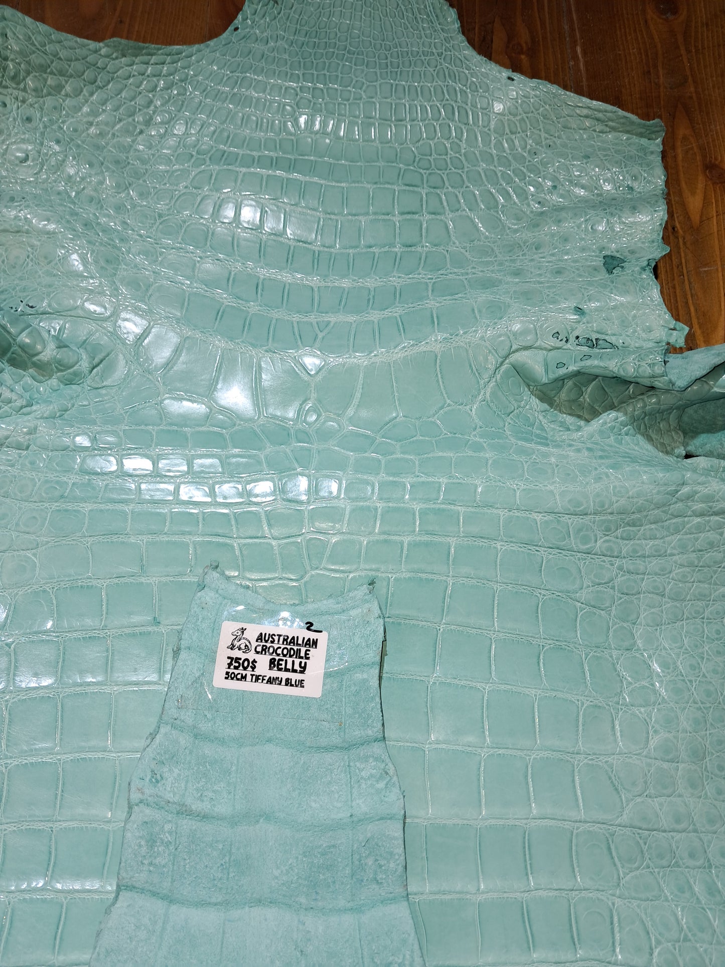Tiffany Blue Australian Crocodile Belly