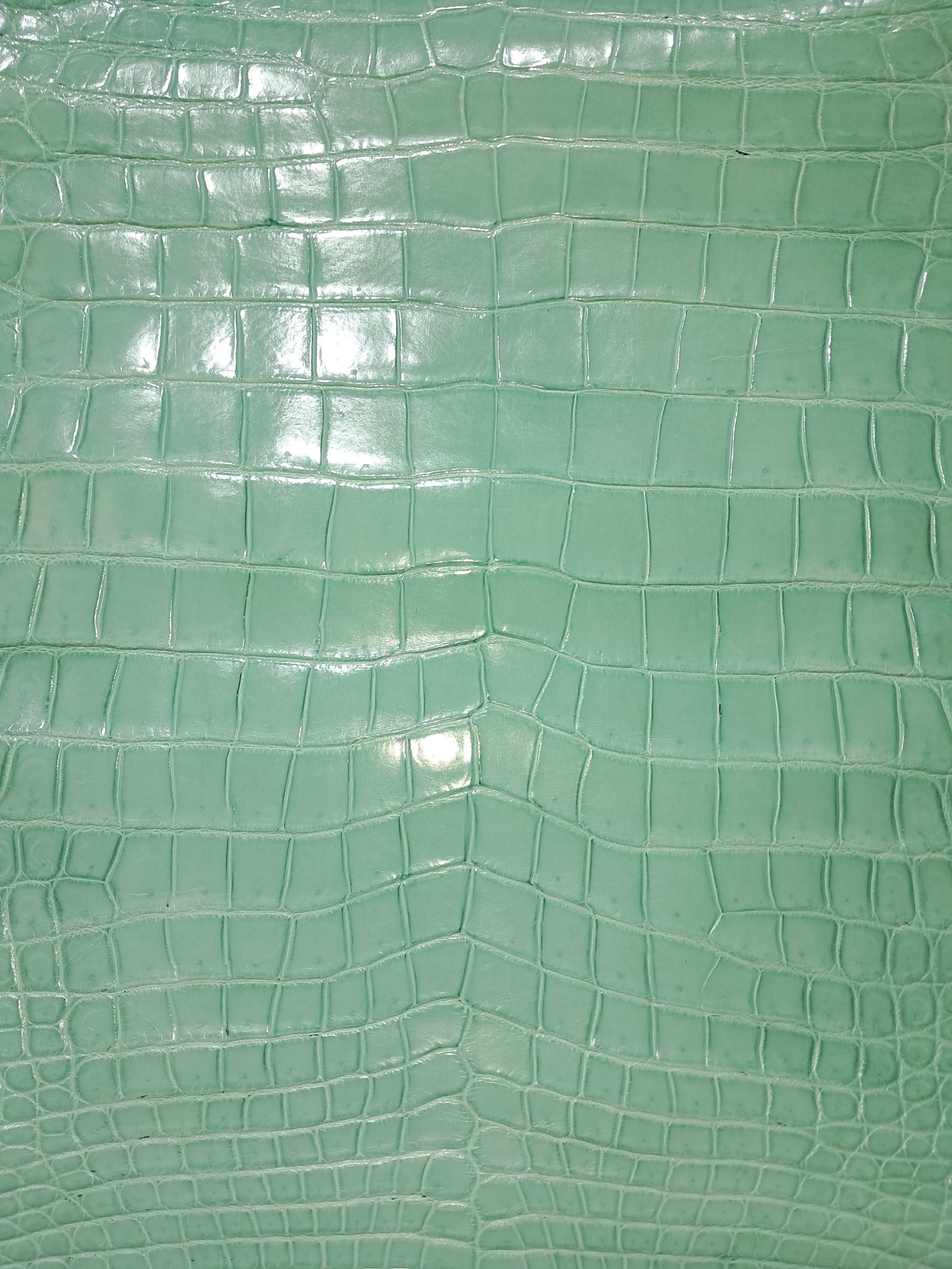 Tiffany Blue Australian Crocodile Belly