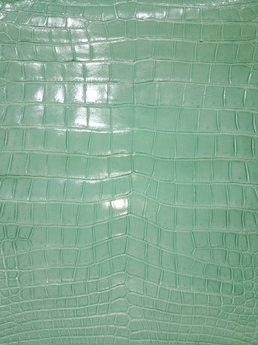 Tiffany Blue Australian Crocodile Belly